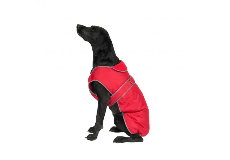 Ancol - Stormguard Dog Coat - Blue - X Large