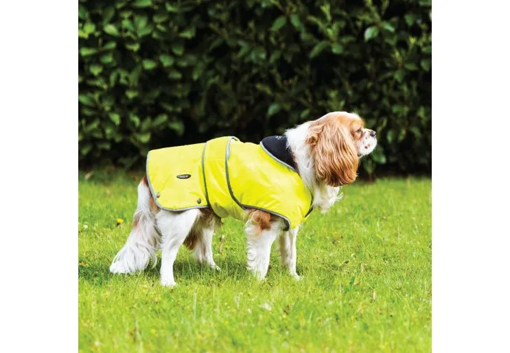 Ancol - Stormguard Dog Coat - Blue - X Large