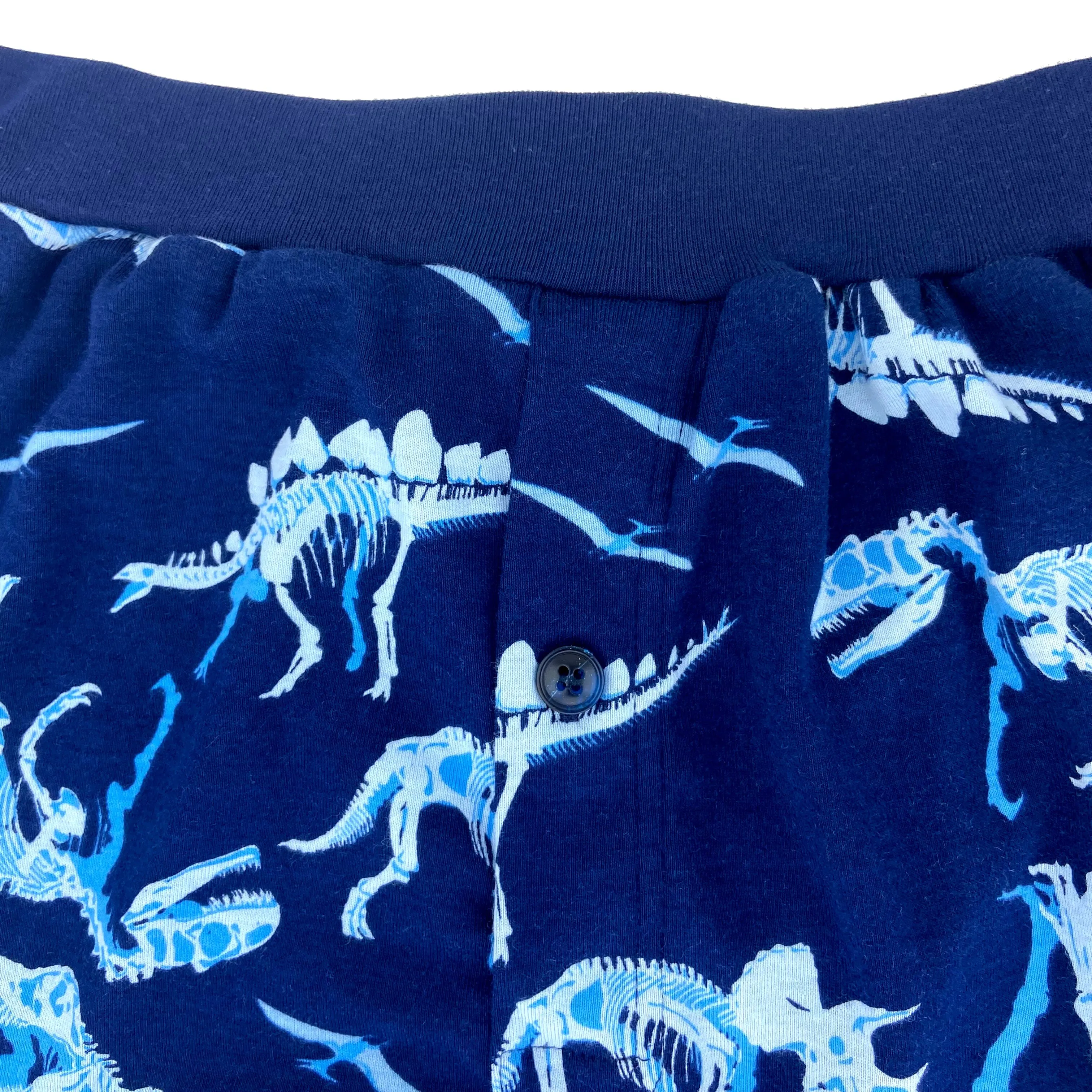 WE'RE DIGGIN THESE DINOSAUR PANTS